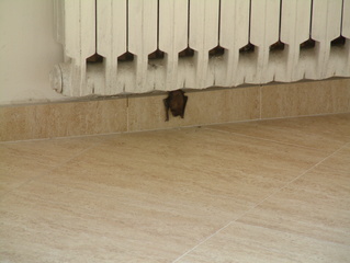 foto03 ( 3:49p)