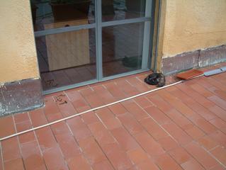 dscf0003 ( 2:24p)